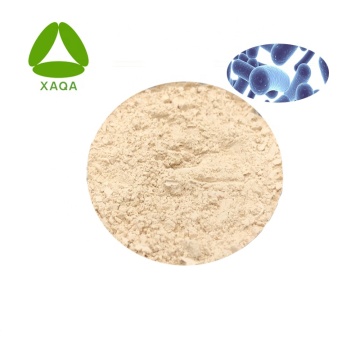 Feed Additive Bacillus Coagulans Powder