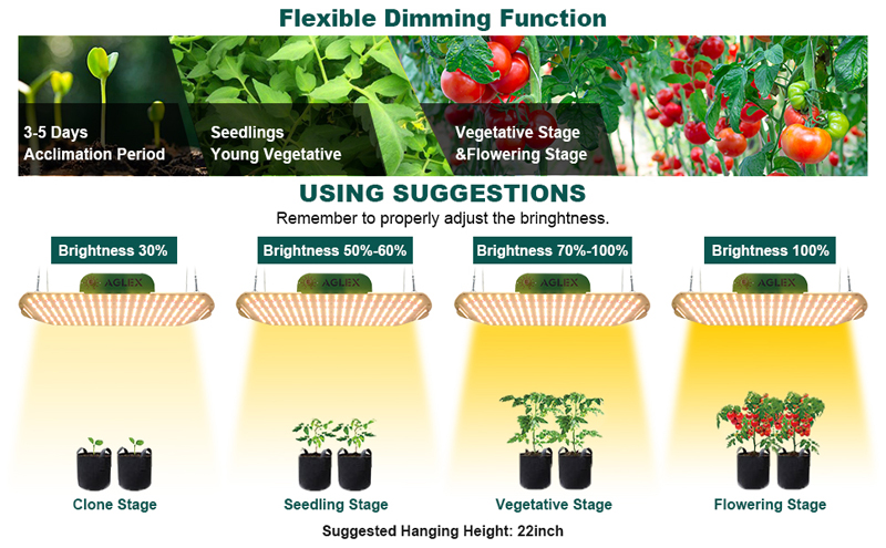 grow light for veg flower