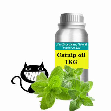 pure natural catnip oil