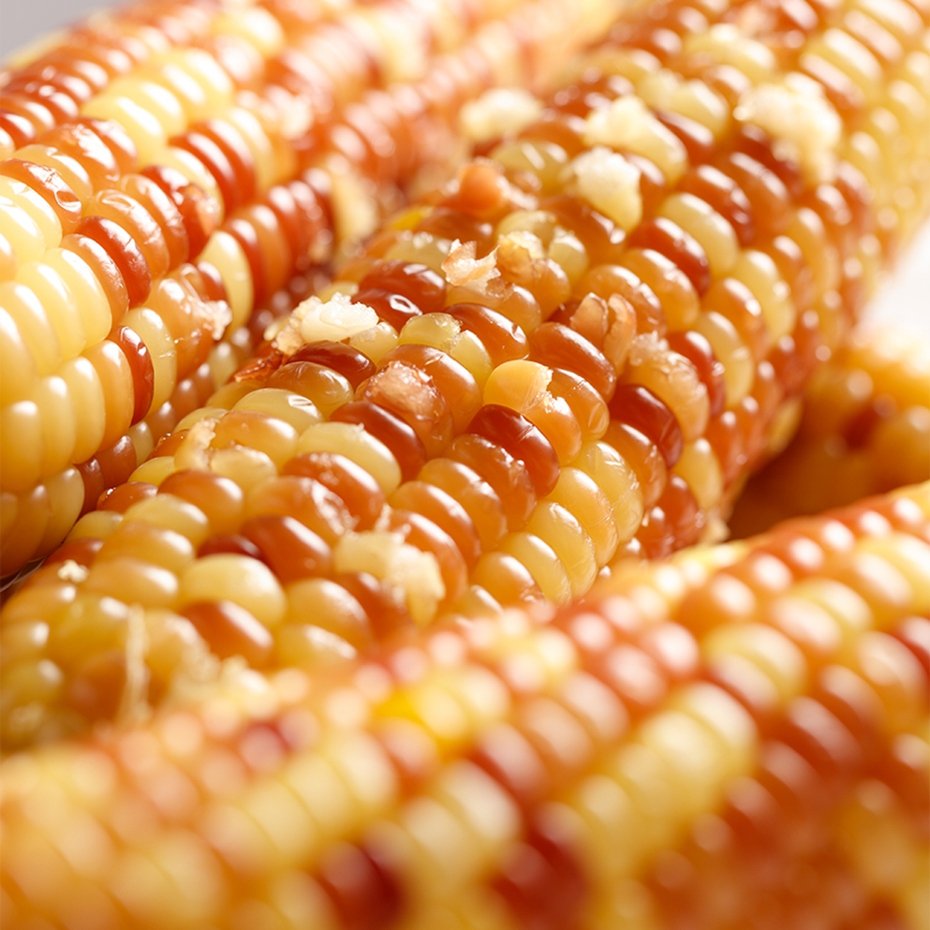 Symbol for Corns