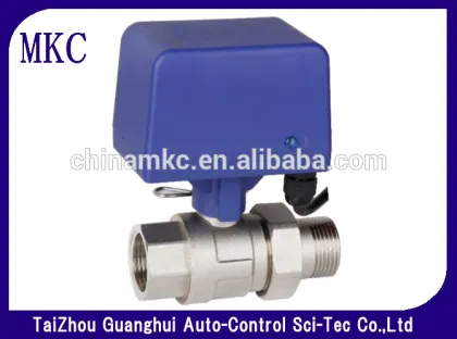 Electric motorized brass zone valve