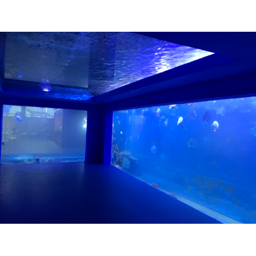 Tanque de aquário de aquário de oceano curvado Túnel de vidro túnel de vidro