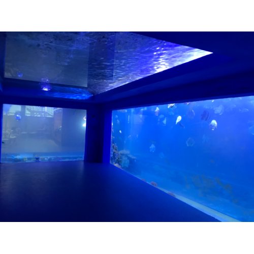 Gebogen oceanarium aquariumtank acrylglas tunnel