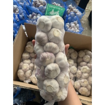 De unde puteți cumpăra usturoi