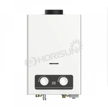 Cheap Flue Type Gas Water Heater