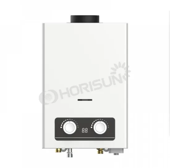 Cheap Flue Type Gas Water Heater
