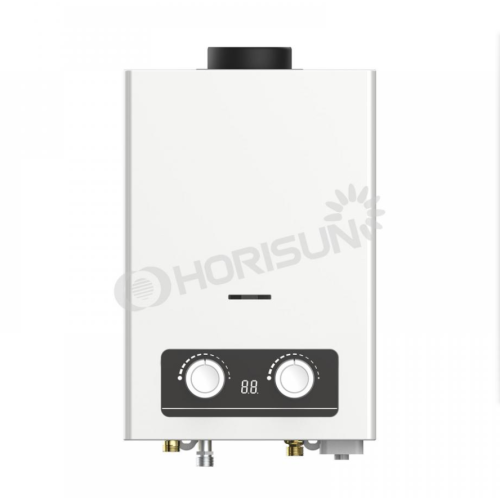 Cheap Flue Type Gas Water Heater