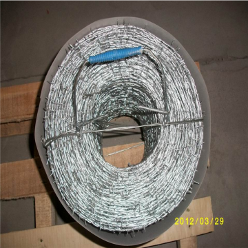 barbed wire for sale in european market