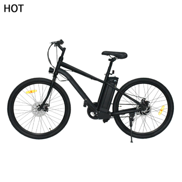High Quality Fat Tire E-Bike with Rockrider Hub Motor Specifications