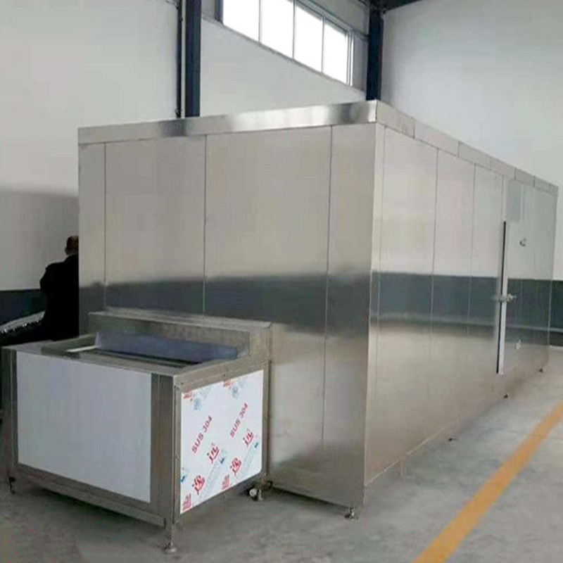 Easy Operate IQF Tunnel Freezer