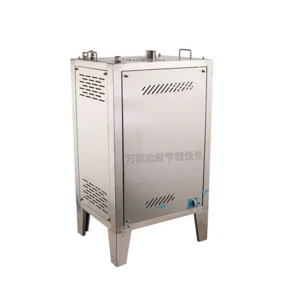 Automatic Stainless Steel LPG/Natural Gas Heating Steam Boiler Generator for Efficient Energy Solutions