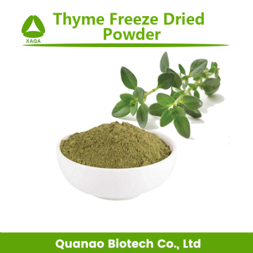 Natural Perfume Thyme Freeze Dried Powder Food Additive