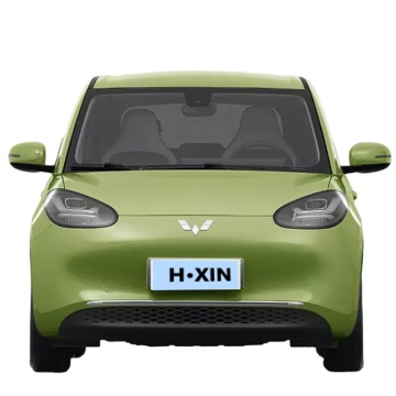 Wuling Binguo EV Car 2024: New Mini Electric Car with 410km Range