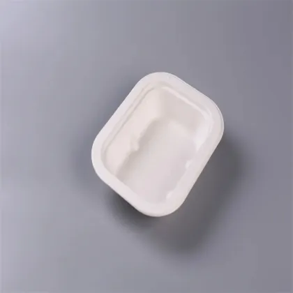 Biodegradable Tableware Food Packaging Bagasse Container