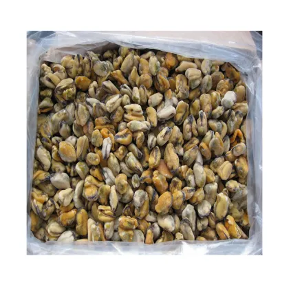 new season blue mussel mussel product detail good quality blue mussel detail