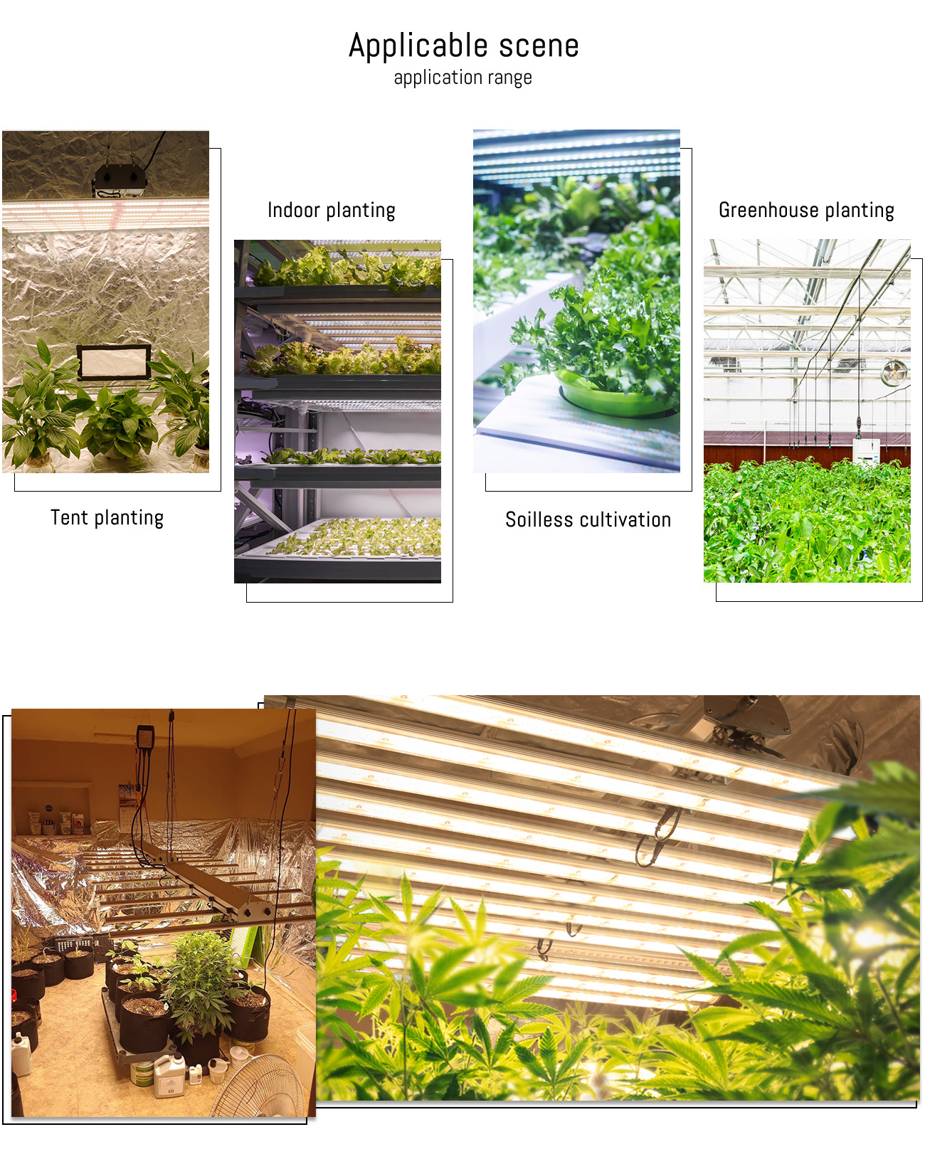 800W LED Grow Light