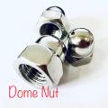 DIN1587 Plain Dome Nut