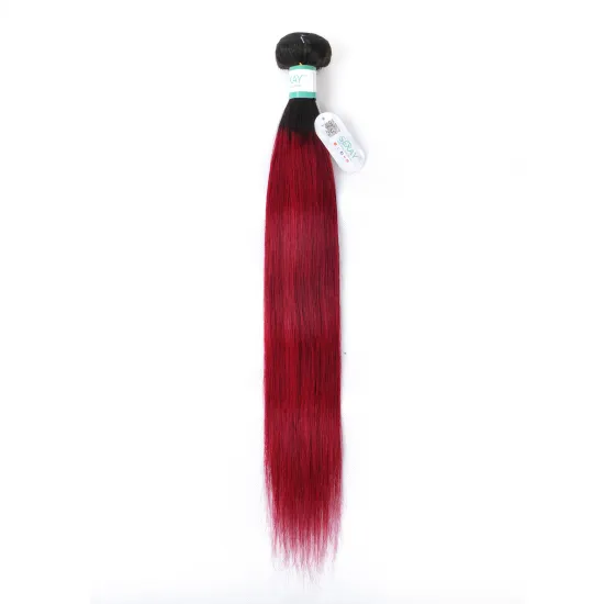 Wholesale Price Brazilian Virgin Human Hair Colorful Ombre 1b/burgundy Hair Bundles Wine Red Remy Hair Extension with Closure