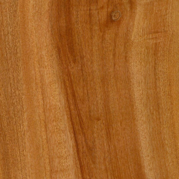 Plancher en stratifié chaud de vente de l'Australie 8mm l'Australie