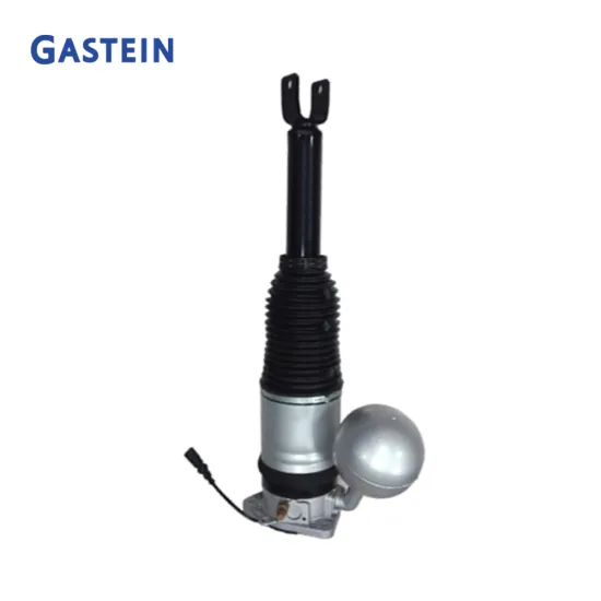 Rear Air Shock Absorbers for BMW 7 Series F02 F01 - 37126791675 37126794139 Air Spring Struts