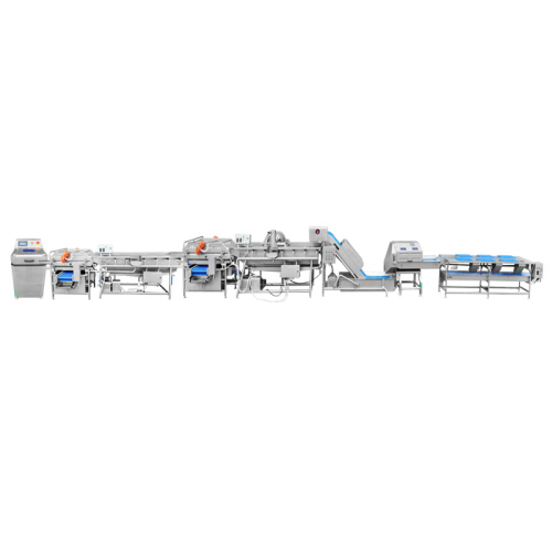 Juice Processing Machine Parsley Spinach Salad Production Line Processing Solution Manufactory