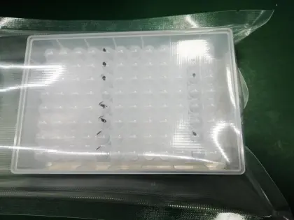 Sars-Cov2 rapid test kit magnetic beads method extraction