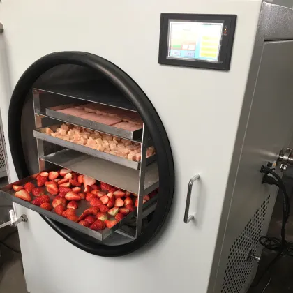 Topacelab Competitive Price Freeze Dryer: Candy Spray Dryer Machine for Alimentary