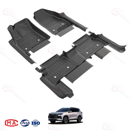 2017- Ebro S800 floor mats