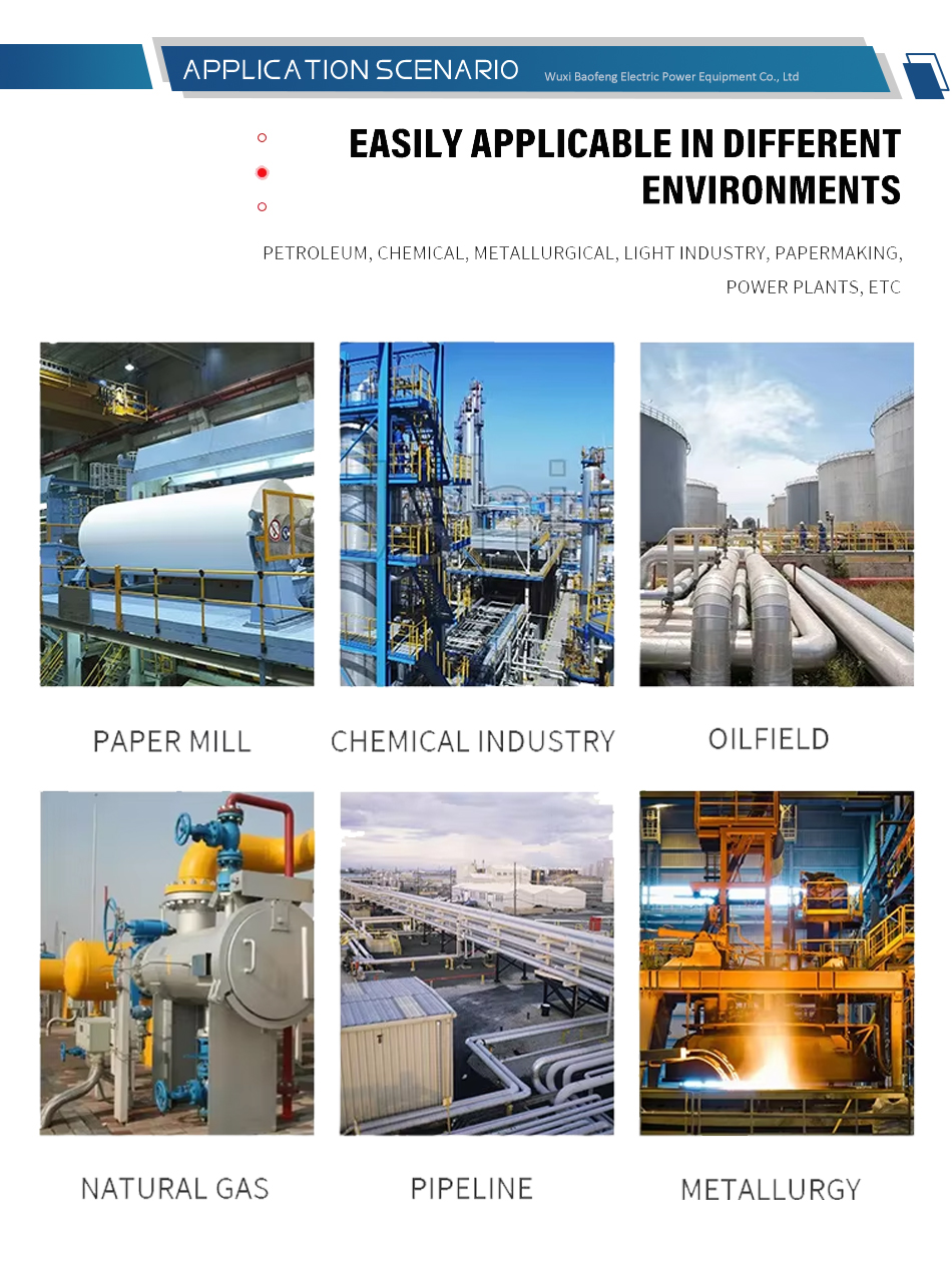 Double Gate Feed Valve