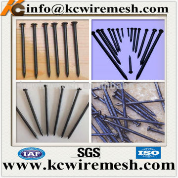 Black Concrete Steel Nails For Construction.