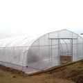 Agricultura Single Tunnel Plastic Film Greenhouse