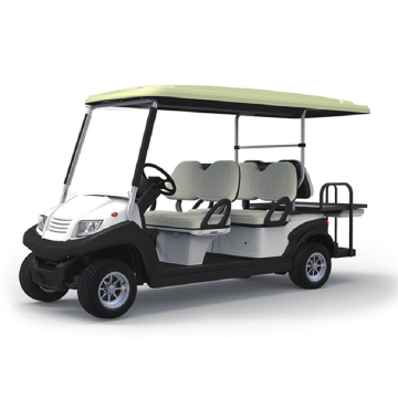 EG Custom Mini Bus Carts - 6 Seat Golf Cart Manufacturer Wholesale