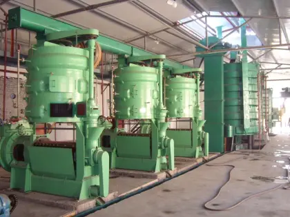 Sunflower Seed Oil Extraction Machine