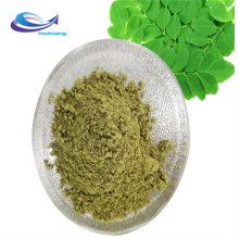 Best price Folium Ginkgo leaf powder ginko biloba