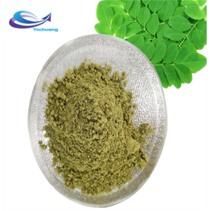 Best price Folium Ginkgo leaf powder ginko biloba