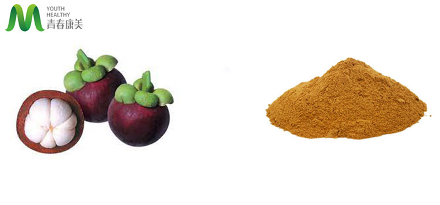 Mangosteen Extract