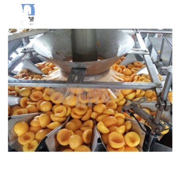Canned Fruits Production Line Equipment and Systems