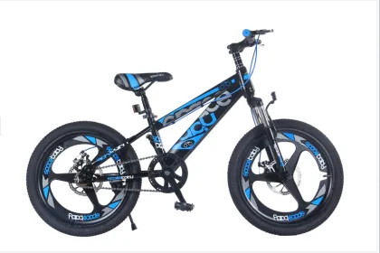 20 Inch Boys Student Bicycle Mountain Bike