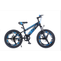 TW-38-1TW-37-1High Quality Bicycle Students