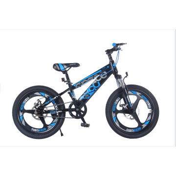 TW-38-1TW-37-1 High Quality Bicycle Students