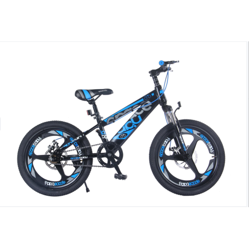 TW-38-1TW-37-1 High Quality Bicycle Student