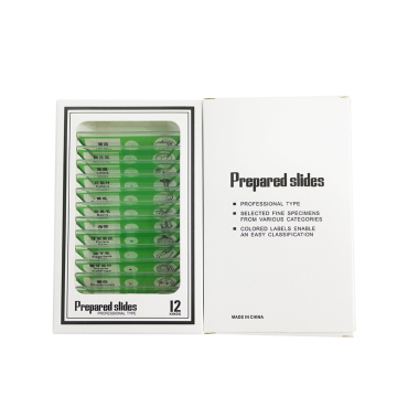 12pcs Sloscopi per microscopio per campione vegetale - Materiale plastico verde