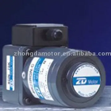 Motor with Terminal Box