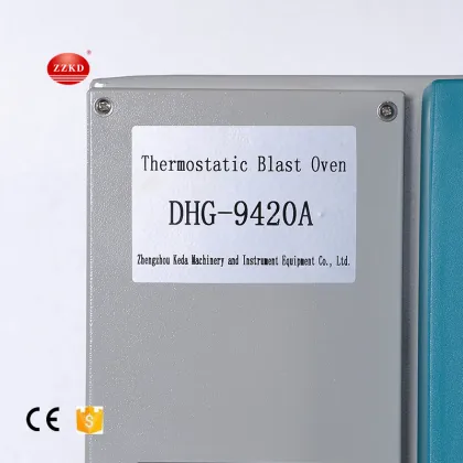 Electrical heating Blast laboratory Drying Equipment