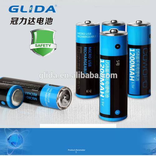 Factory direct selling Micro Rechargeable Battery