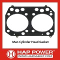 Man Gasket Cylinder Head 51.03901.0391
