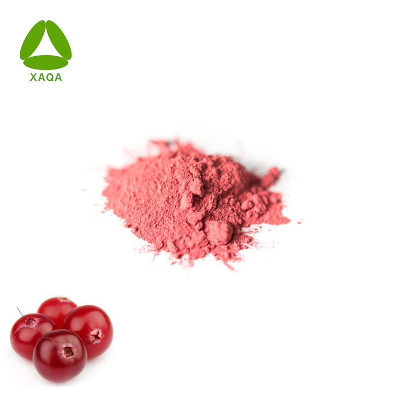 Bio -Getränkegetränke Cranberry Fruchtsaftpulver