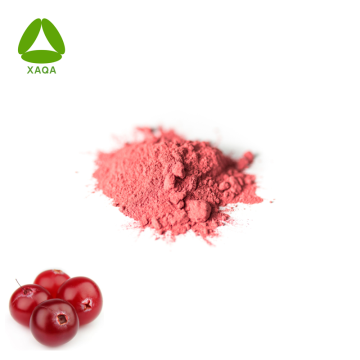 Bio -Getränkegetränke Cranberry Fruchtsaftpulver