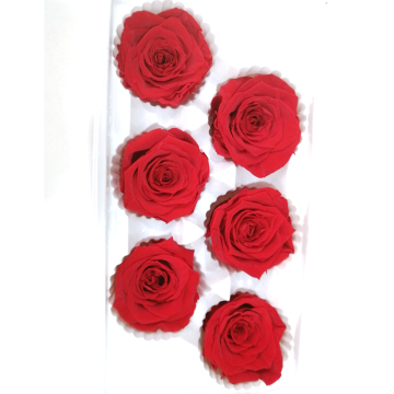 B Grade Chinese Real Natural Immortal Flower Head Preserved Rose with Low Price