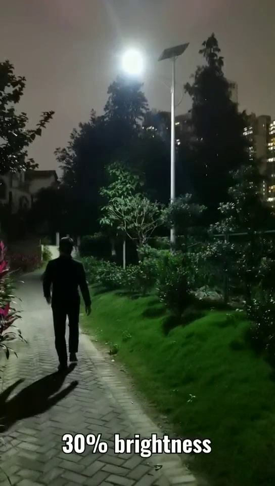 Factory Price Solar LED Street Light for Public Lighting